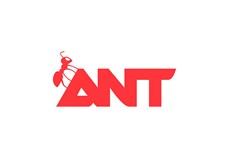 Ant